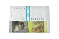 Kalendář 2021 (22x18cm) - Kočky a koťata