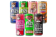 Fizistyle Fizi Drink Degustační balení 14x250 ml