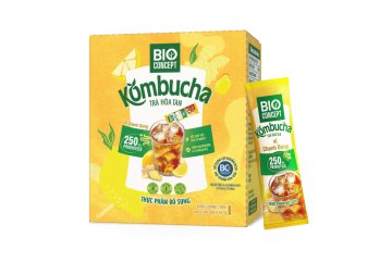 BioConcept Kombucha v prášku 10×10 g