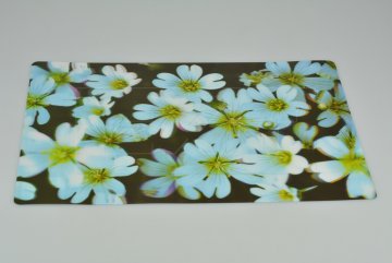 3D prostírání s měnícím se efektem (42x28cm) - Květiny